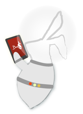 Bump Technology Bunny